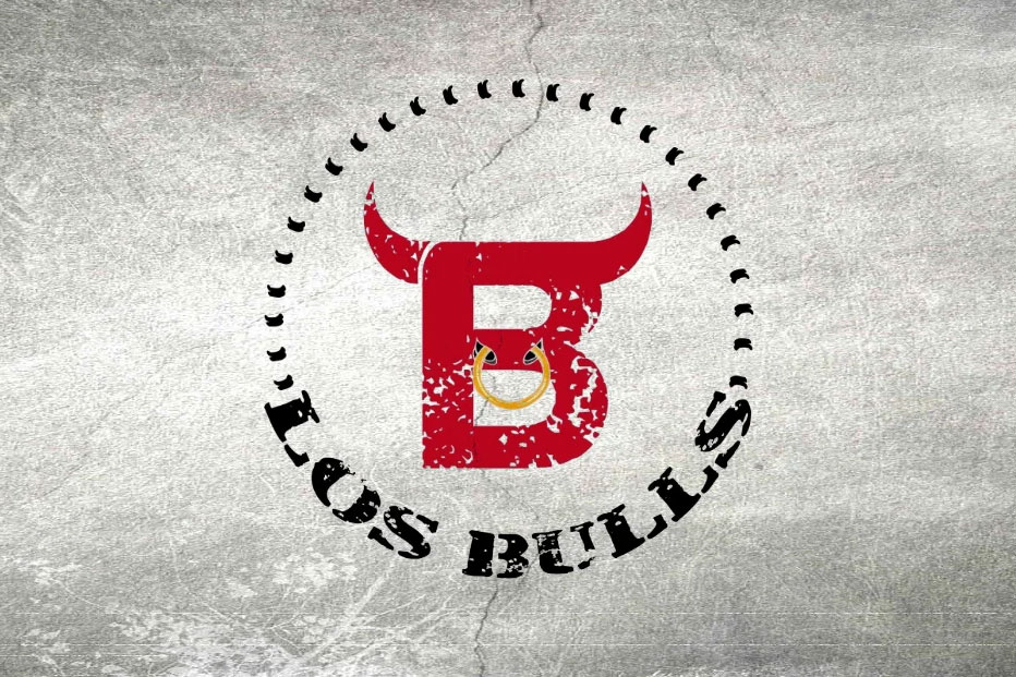 Bild Los Bulls